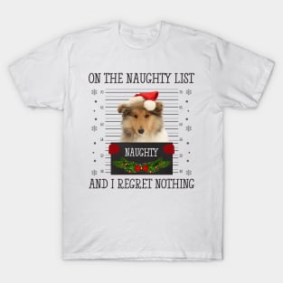 On The Naughty List, And I Regret Nothing T-Shirt